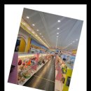 베베펫 천안 강아지분양 고양이분양 이미지