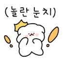 강아지 유치원 caredogs 이미지