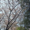 군자-1 (산들공원) 이미지