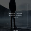 팀타이거짐1 이미지