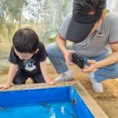 금붕농장 이미지