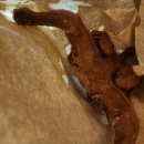 안중현대서비스(주) 이미지