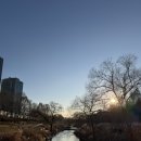 강남대로12길 31 | 서울 러닝 추천 코스 양재천 4km달리기 후기와 겨울철 런닝 준비물 팁, 양재천 겨울 눈썰매장 정보까지