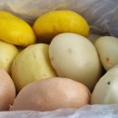 복상골낚시터 이미지