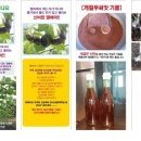 흥마농장 이미지