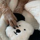 반자주 일광신도시점 이미지