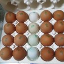 이노바이오팜 이미지