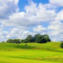 삼성탑공인중개사사무소 이미지