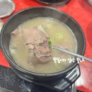 진진설곰탕 이미지
