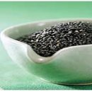 오장전자 이미지