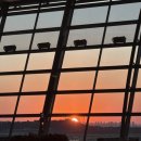 네잎클로버의 메아리 이미지