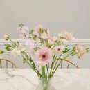 오후엔뷰티