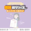 파파앤드류 이미지