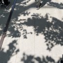 현희 농장 | 소란스럽던 나의 하루들 | 좋아서 소란스럽고, 복잡해서 소란스러움 …