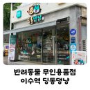 딩동댕냥