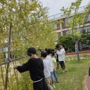 학장초 5/21 이미지