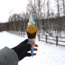 메신저-그곳으로부터 | 삿포로 비에이 투어 후기 버스 일정 비교 가격? 예약 추천 3월 시간