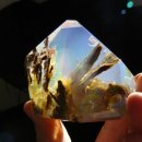 빛나는바다 이미지