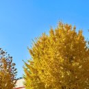 (주) 통나무집닭갈비 이미지