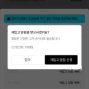 다운체 | [내돈내산] 쿠어(COOR) 버튼 덕 다운 플라이트 봄버 개봉&amp;착용 후기