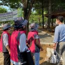 대머리근린공원 이미지