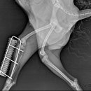 우리들동물병원 이미지