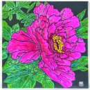 죽성드림세트장 이미지