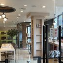 방주동물병원(출장전문) | 금호동 동물병원 미래지에서 알려드리는 강아지 우울증의 모든 것