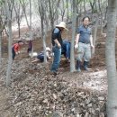 강원산림원 네이버블로그