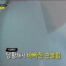 덮집회의 Daum카페