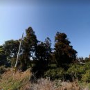 세화1리마을회관 이미지