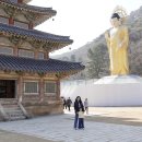버찌 +1913 (3) 충남 보은 법주사 성보박물관