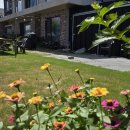 제주도 단체가족펜션 그날제주 이미지