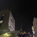 금빛한돈 | 육즙 팡팡 터지는 숙성 고기! 신흥동고기집 금빛한돈 삼겹살 항정살 후기 (신흥동소고기, 신흥역소고기)