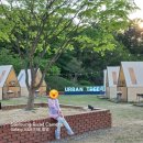 어반트리(Urban Tree)
