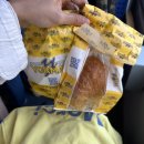 연희약국 | 🇩🇪하이델베르크 프랑크푸르트 1박 2일로 조진 후기