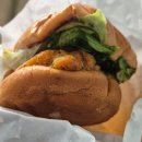 카메오랩상암센터 | 20251110~20251116 자가치유가 도박이라면 나는 아무래도 불운한 편인 거겠지