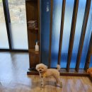 메르시 펜션 이미지