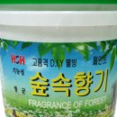 대원인테리어페인트