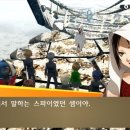 더마리 이미지