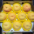 이례농장 이미지