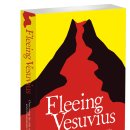 Escape routes: Fleeing Vesuvius – which way should we go? 이미지