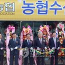 수삼랜드 이미지