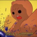 어라운드폴리