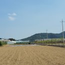 (주)농업회사법인 포프리