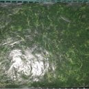 낙원떡고을 이미지