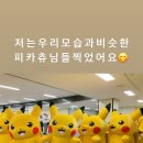 사심이 이미지