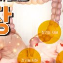 더자연건강 이미지