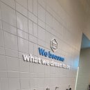 마린슐레 이미지