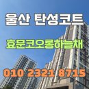 주식회사 도원건강 | 울산 효문코오롱하늘채 베란다 탄성코트 시공-크렉과 곰팡이 완벽 해결